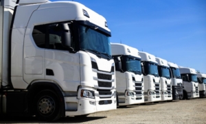Cómo solicitar las ayudas para autónomos y empresas del transporte y de la industria intensiva de gas
