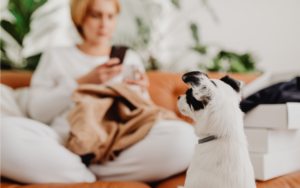 Derecho a la desconexión digital: tolo lo que deben saber las empresas